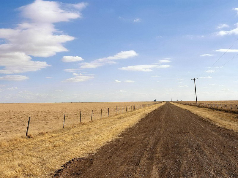 诗酒趁年华出处赏析