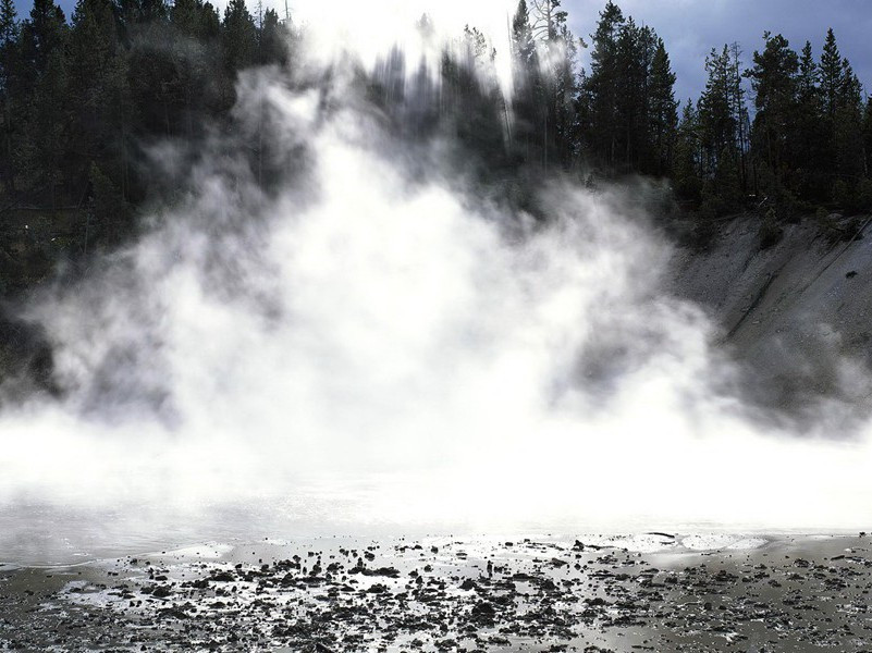 更待菊黄家酝熟,共君一醉一陶然出处赏析