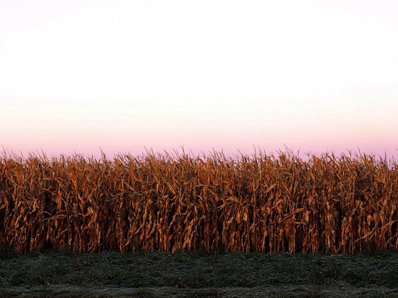 世上岂无千里马,人中难得九方臯出处意思赏析