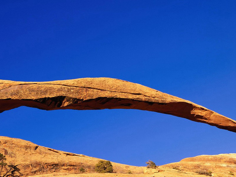 明月何皎皎,照我罗床帏出处翻译赏析