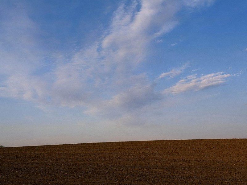 日斜吾事毕,一笑向杯盘出处意思赏析