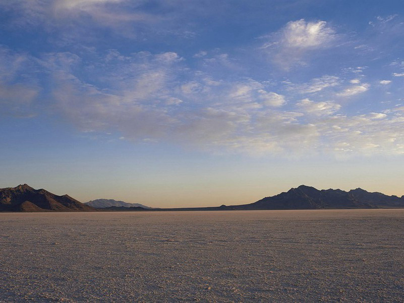 花开不并百花丛,独立疏篱趣未穷的出处意思赏析