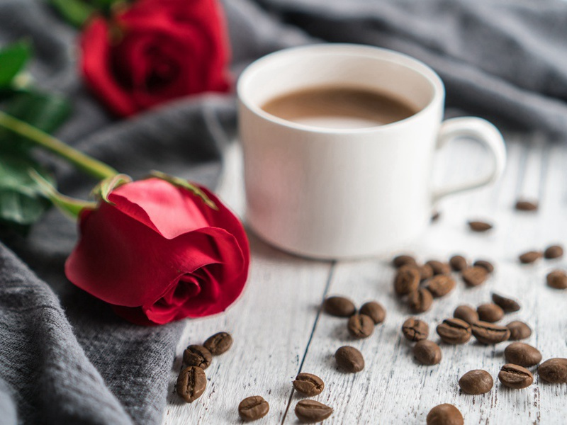 做弄得,酒醒天寒,空对一庭香雪出处意思赏析