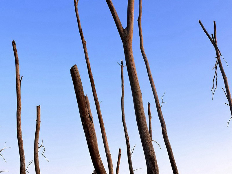 《拟古四十首》其一煌煌古京洛)原文翻译-纳兰性德五言古诗赏析