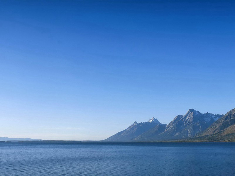 欲寻芳草去,惜与故人违出处意思赏析