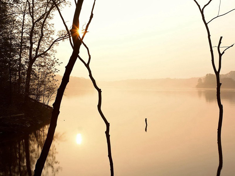 钟期久已没,世上无知音出处意思赏析