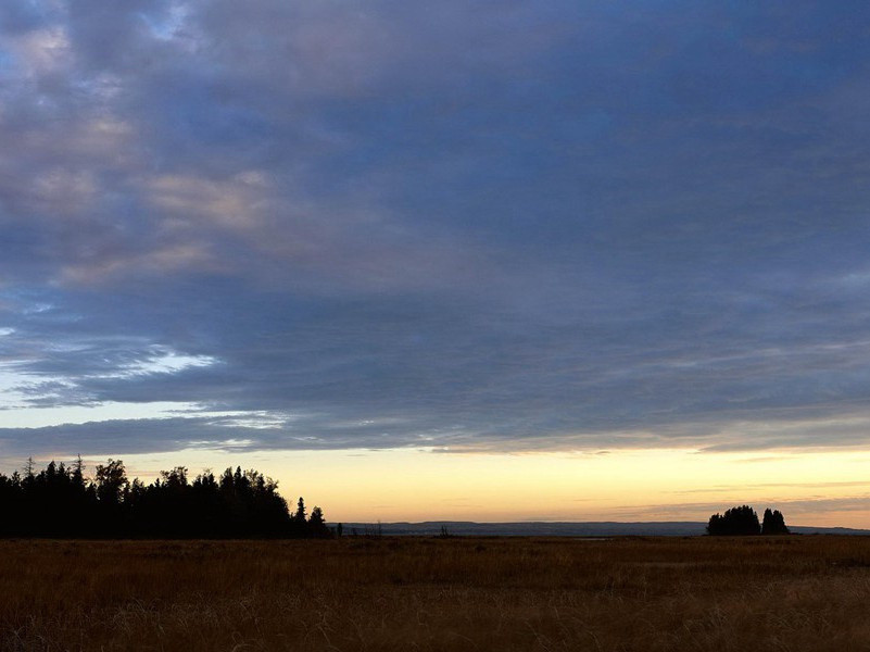腾骧磊落三万匹,皆与此图筋骨同的出处意思赏析