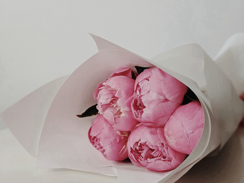 李白《张相公出镇荆州,寻除太子詹事,余时流夜郎》古诗翻译赏析阅读