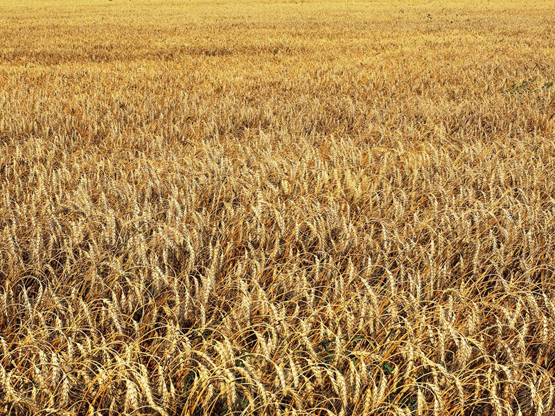 李白《长干行二首》古诗翻译赏析阅读