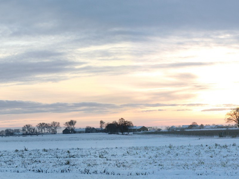 曾貌先帝照夜白,龙池十日飞霹雳的出处意思赏析