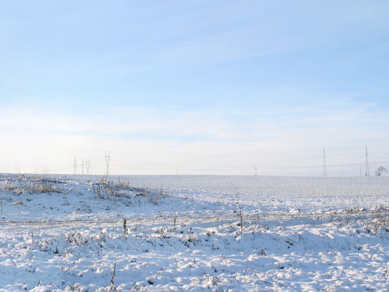 野凫眠岸有闲意,老树着花无丑枝出处翻译赏析