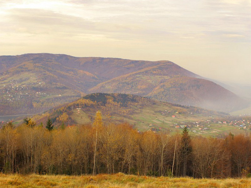 泰山不要欺毫末,颜子无心羡老彭出处赏析