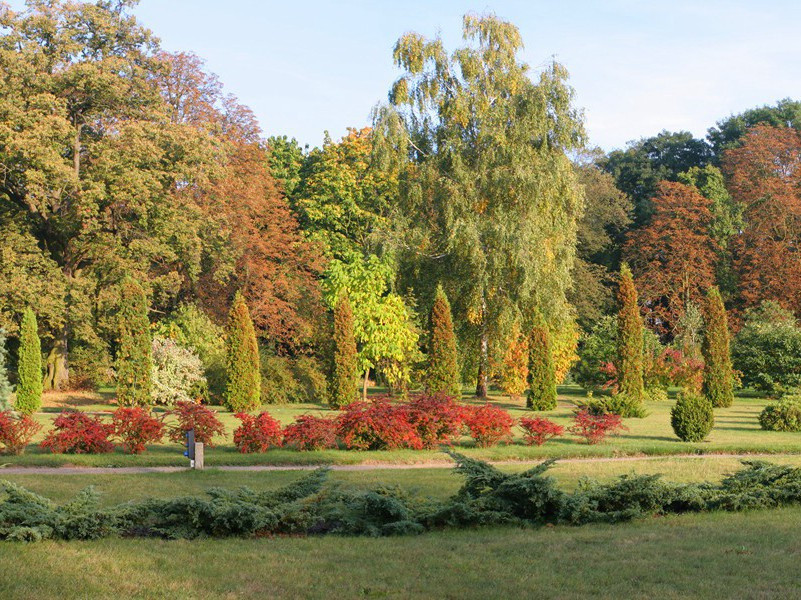 《石涧记》原文翻译赏析-柳宗元文言文