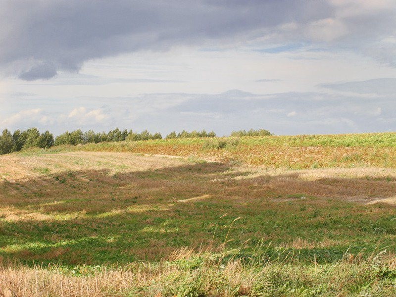 来如雷霆收震怒,罢如江海凝清光的出处意思赏析