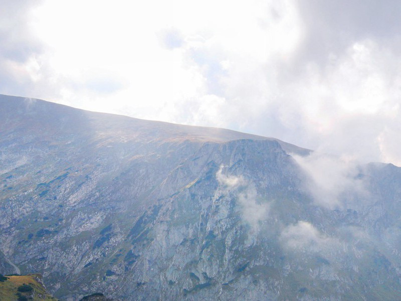 雨洗娟娟净,风吹细细香出处意思赏析