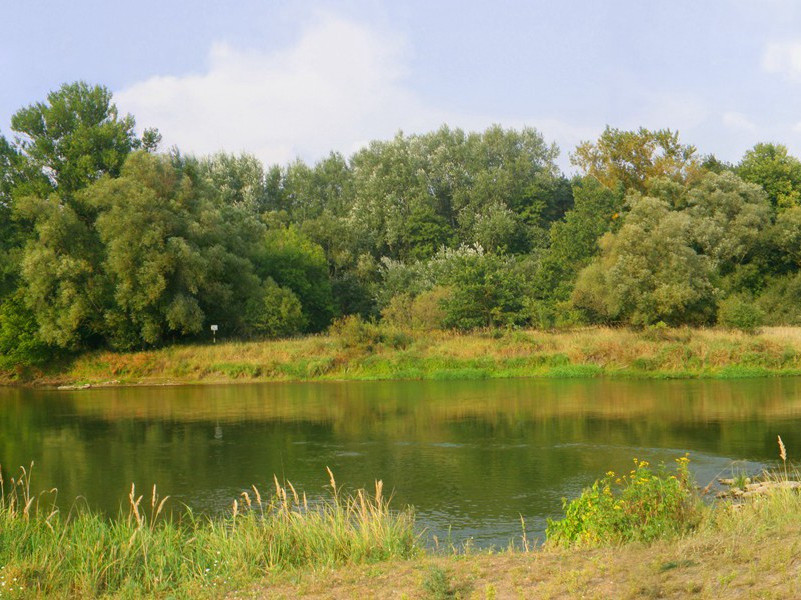 《早发白帝城》原文翻译赏析-李白古诗