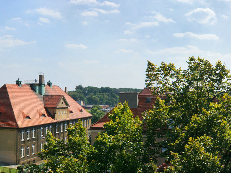 妻子象禽兽,行止依林阻出处意思赏析