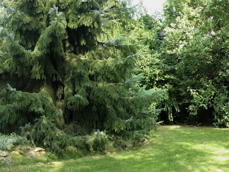 寥落古行宫,宫花寂寞红的出处意思赏析