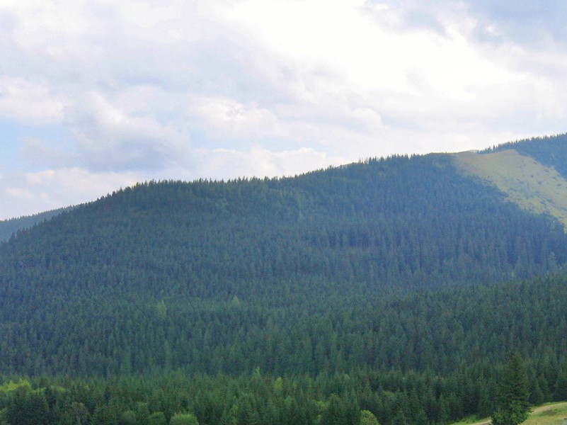 灵匹三秋会,仙期七夕过,查来人泛海,桥渡鹊填河出处意思赏析
