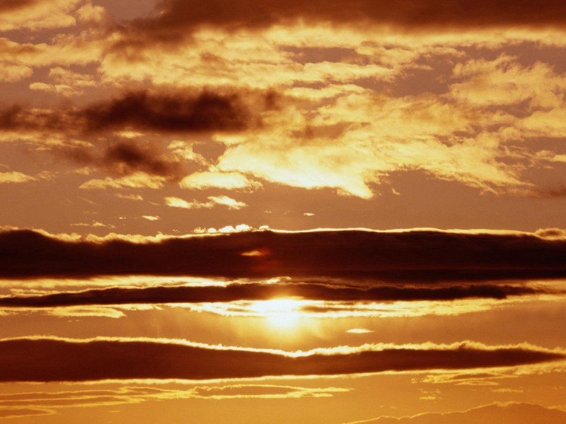 夕殿下珠帘,流萤飞复息出处意思赏析