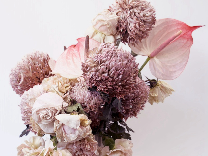 凿开混沌得乌金,藏蓄阳和意最深出处意思赏析